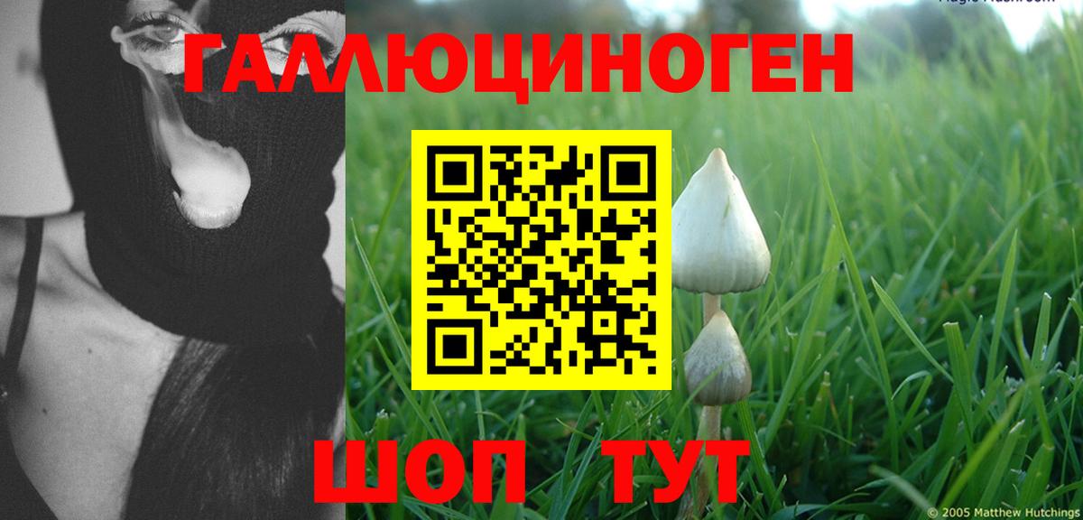 Псилоцибиновые грибы ЛСД  Вход с VPN  Томск 
