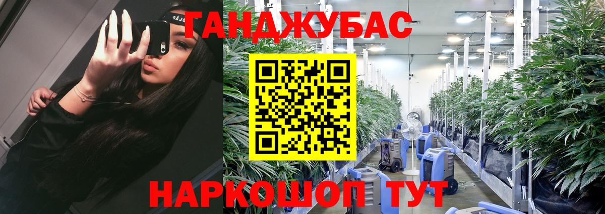 Канабис семена Томск